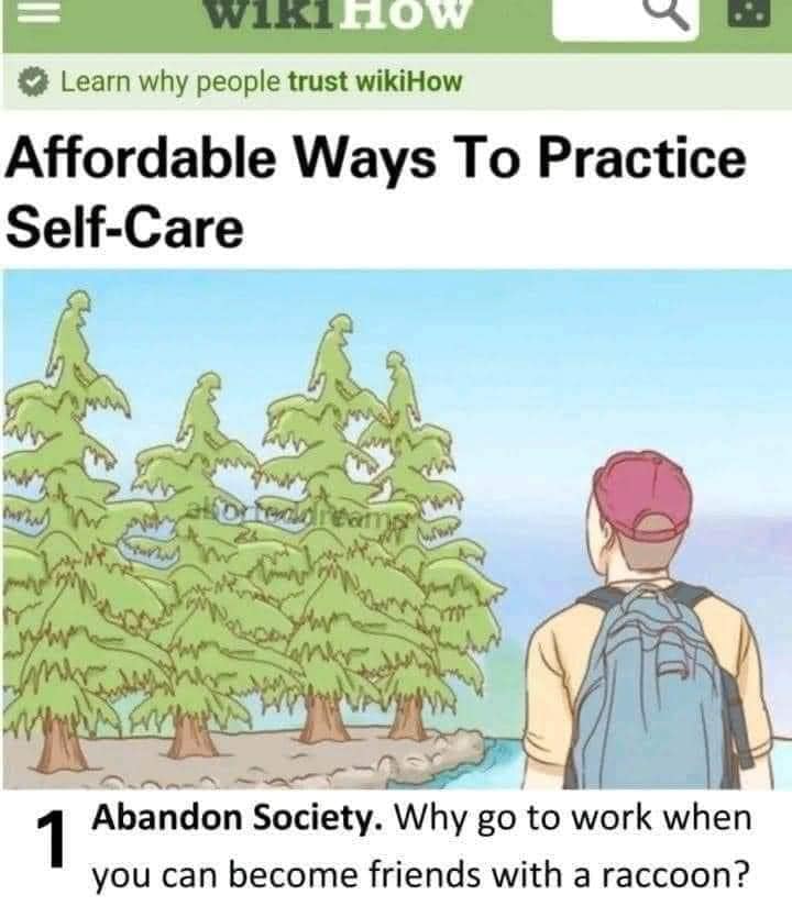The meme is a humorous example of a "how-to" article from the satirical website "wikiHow." The title is "Affordable Ways to Practice Self-Care," and the first "tip" is "Abandon Society. Why go to work when you can become friends with a raccoon?" The image is likely a cartoon or illustration of a person standing in a forest, looking at a group of trees, with a raccoon in the distance.